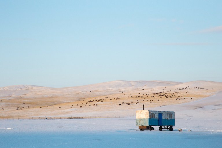 Mongolia - Sunset.jpg