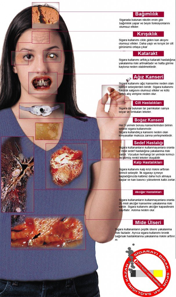 sigaranin-organlara-zararlari.jpg