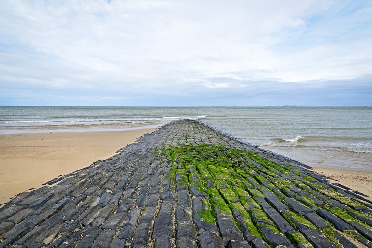 Breakwater on the north sea beach near Zwarte Polder