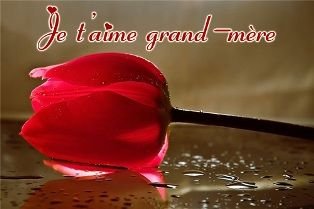 amour-grand-mere.jpg