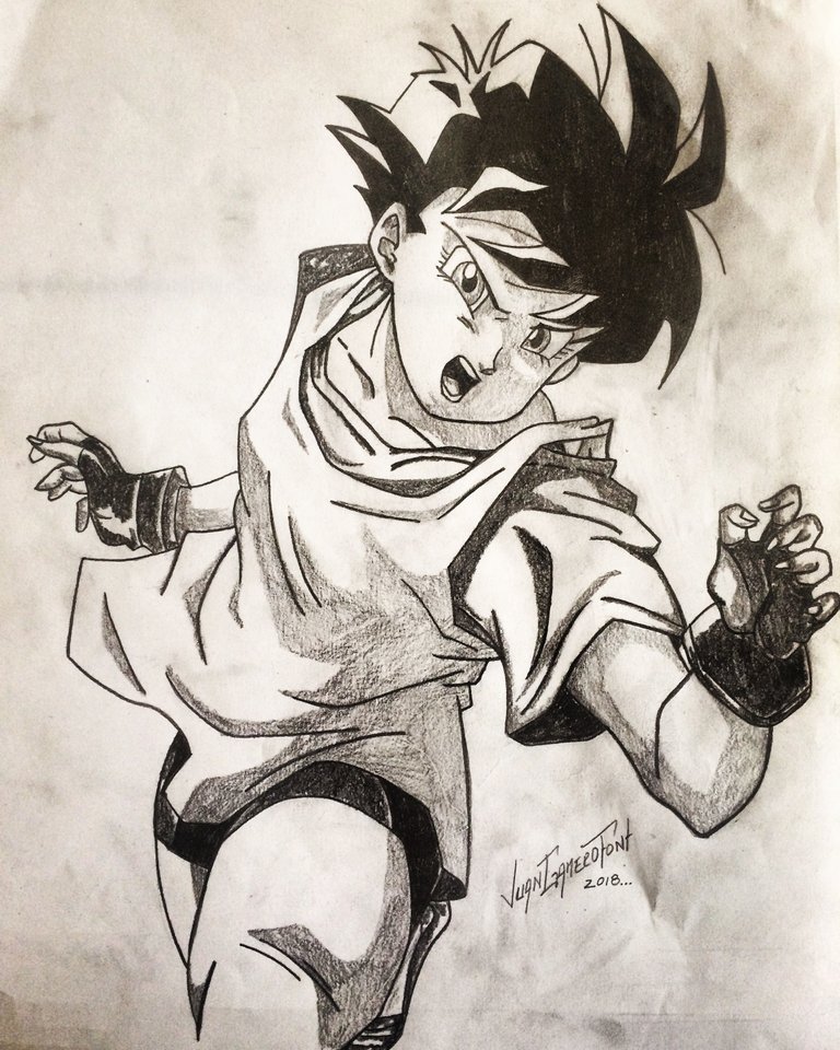 videl 14.JPG