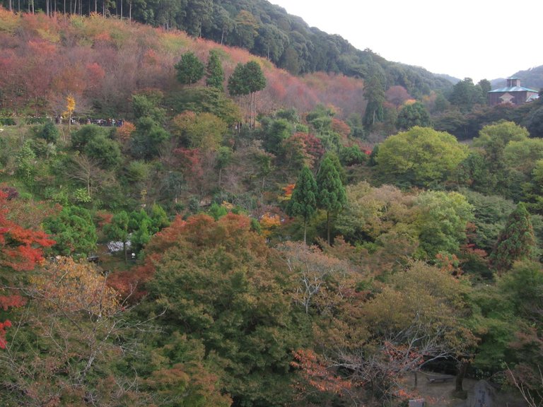 513 kyomizu-dera (9).JPG