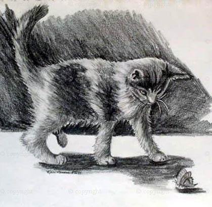 catstudy_copy_wm.JPG