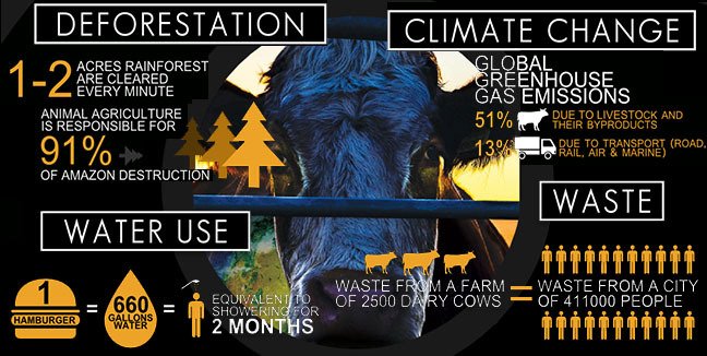 cowspiracy1-1.jpg