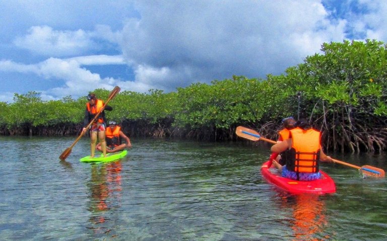 Day-Asan-Mangrove-Forest.jpg