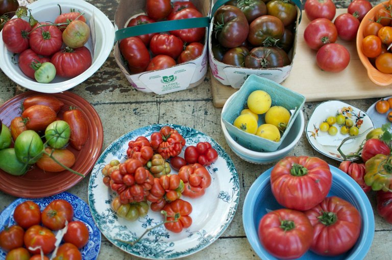 heirloom-seeds-ontario-model-on-home-remodeling-also-great-canadian-food-experience-preserving-tomato-sauce.jpg