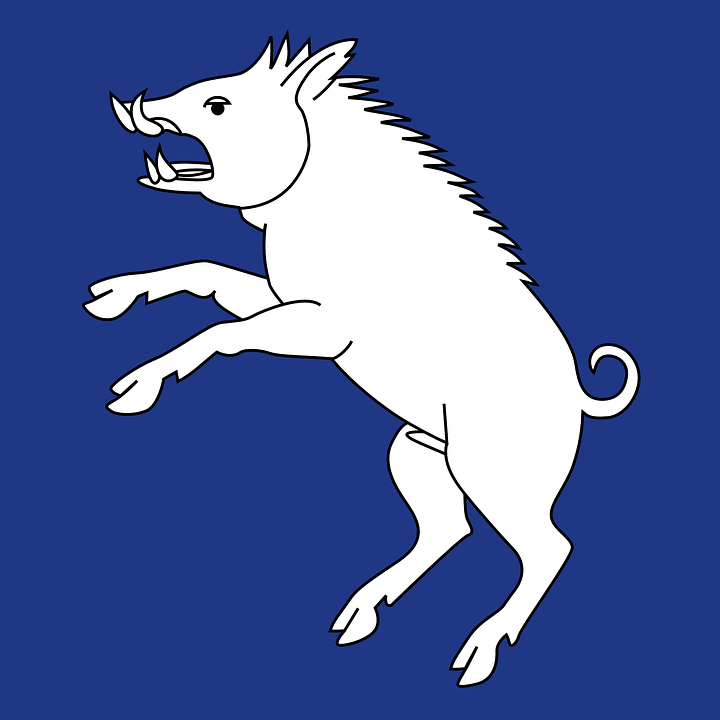 boar-31701_960_720.png