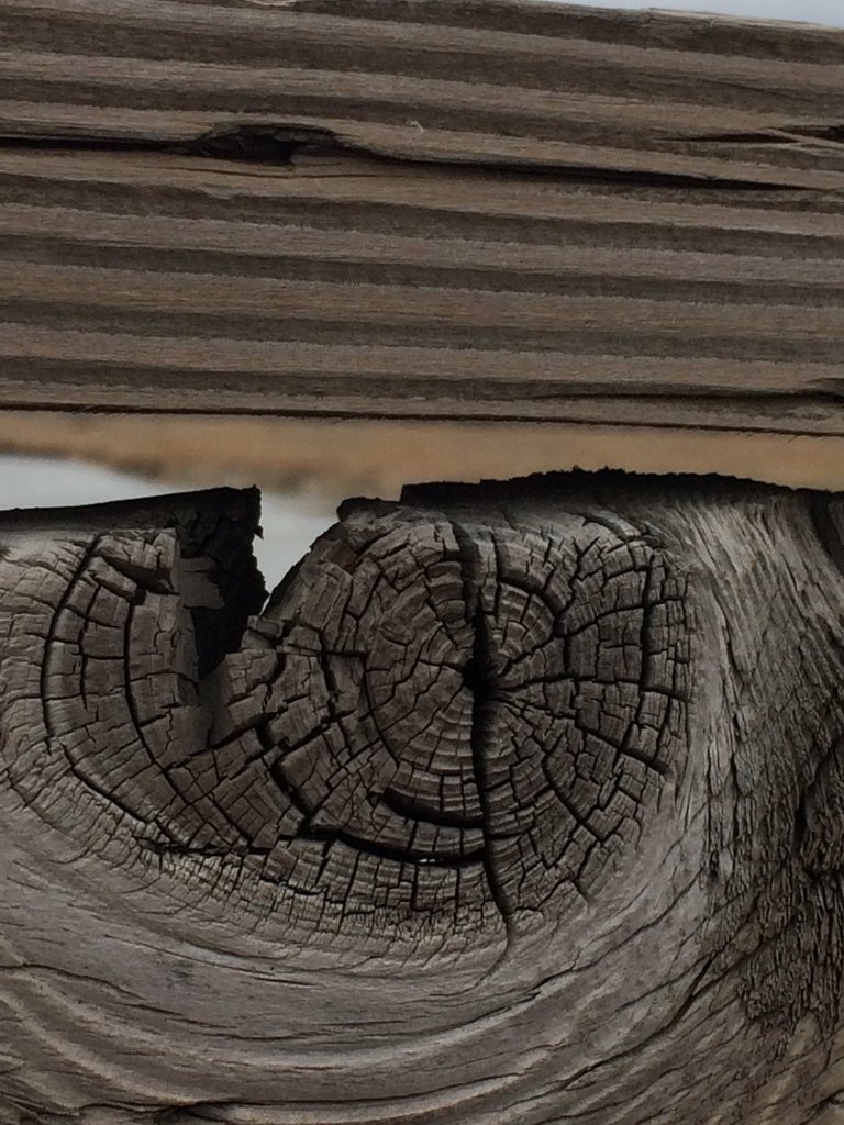 WoodTexture.JPG