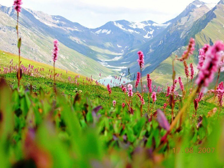 Neelum-Valley-Beautiful-750x562.jpg