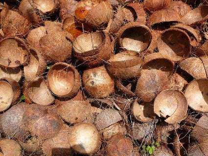 coconut-shell.jpg