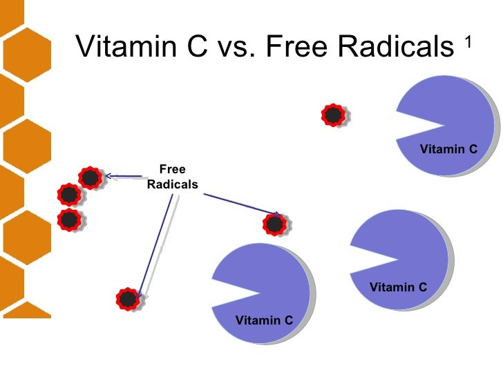 immunotec-presentation-updated-24-11-09-51-728.jpg