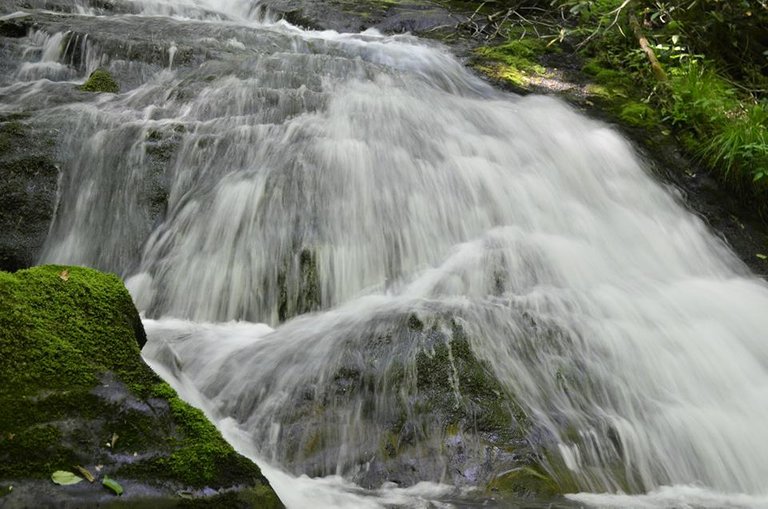 Great Smoky Mountains National Park.4.jpg