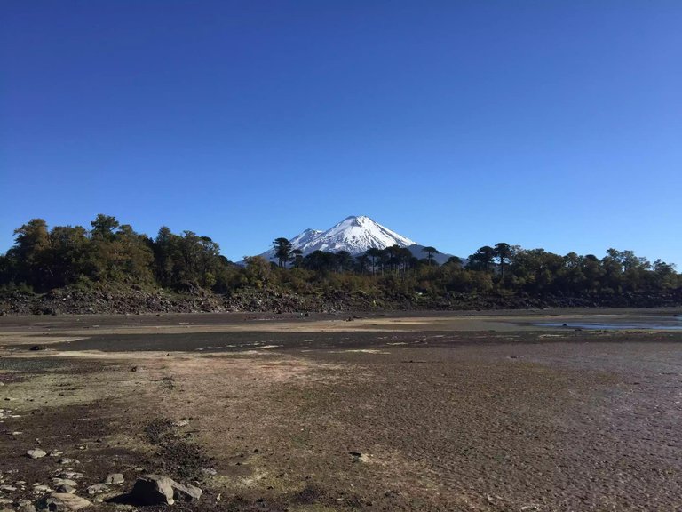 conguillio national park.jpg