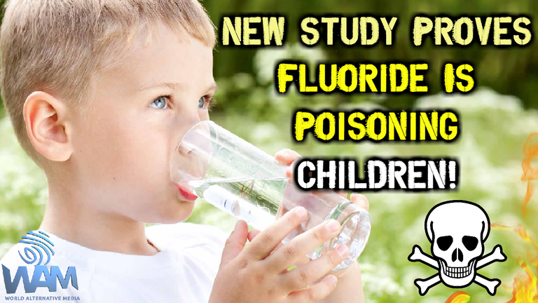 new study proves fluoride is poisoning children thumbnail.png