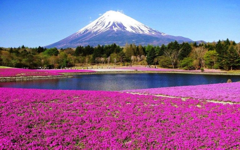 Pemandangan-Gunung-fuji.jpg