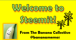 Welcome to Steemit 250x134.png