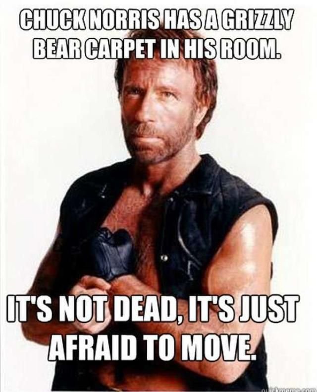 9e372931468315bd8f5f47343dd955ae--chuck-norris-memes-funny-things.jpg