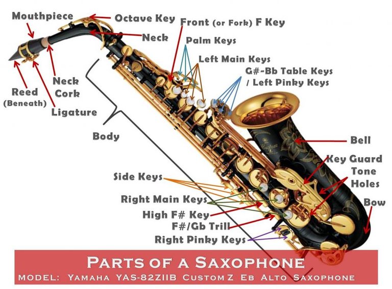 Parts-of-Saxophone-1024x755.jpg