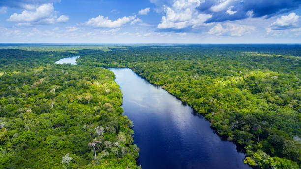 amazon-river-in-brazil-picture-id816188556.jpg