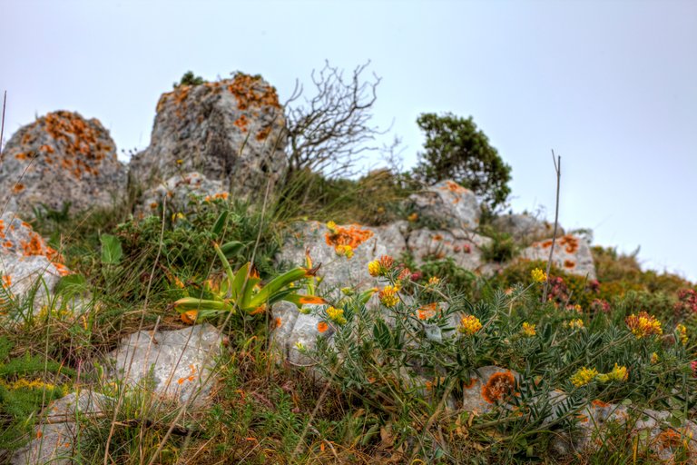 Amalfi 53 HDR.jpg