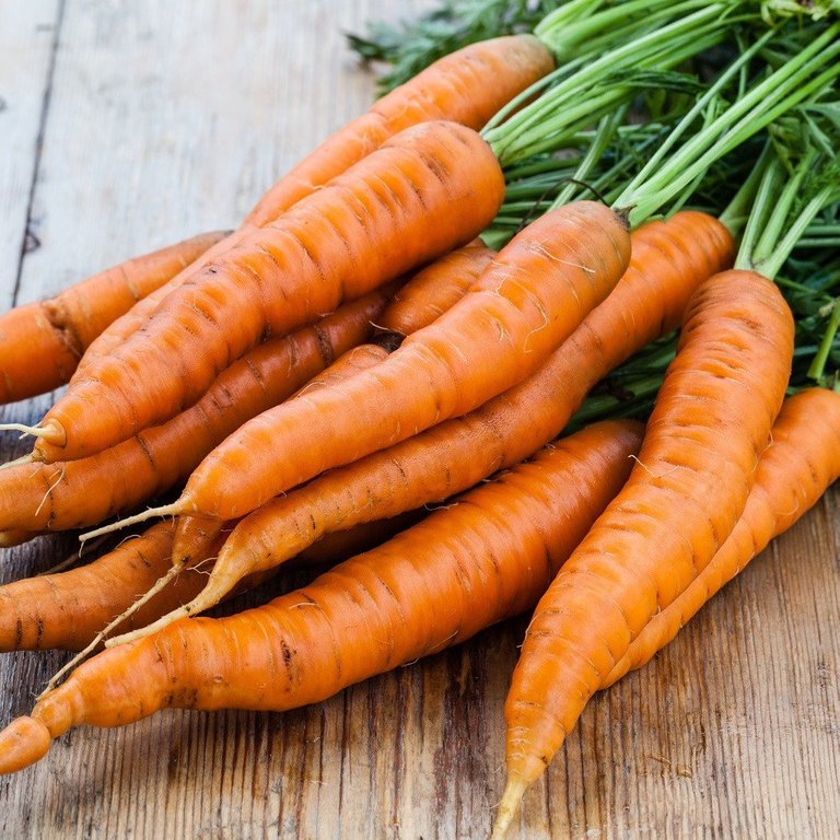 Carrot_Danvers_1024x1024_95449632.jpg