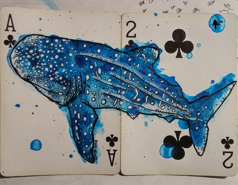 whale shark4.JPG