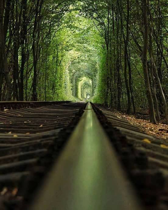 Túnel del Amor, en Ucrania..jpg