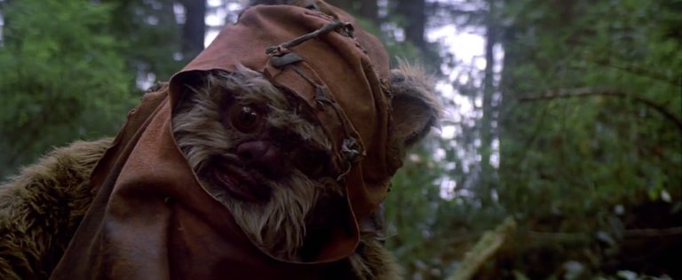 ewok1.jpg