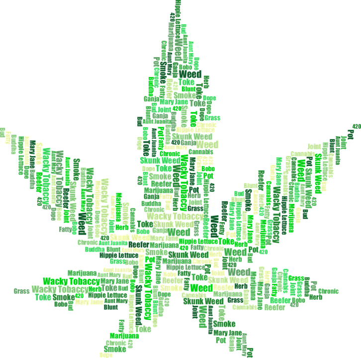 Hemp-Plant-Pot-Drugs-Cannabis-Marijuana-Leaf-2754247.png