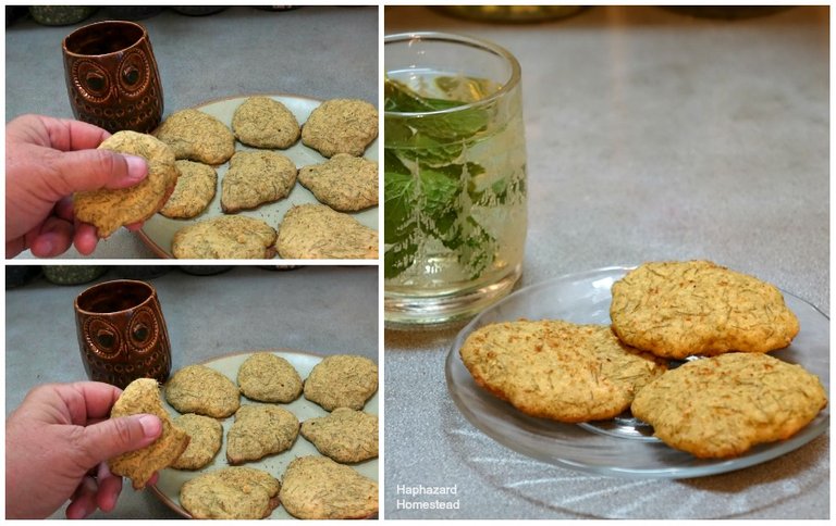 pine pollen spruce cookies 4 WEB.jpg