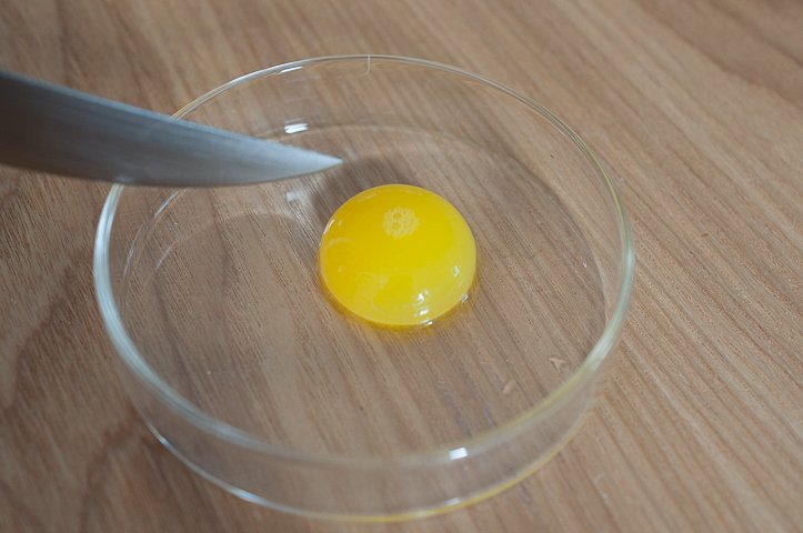 BellPepper-EggYolkSphere2.jpg