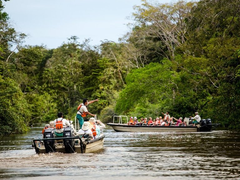 boat-canal-cruise-travel-forest.jpeg