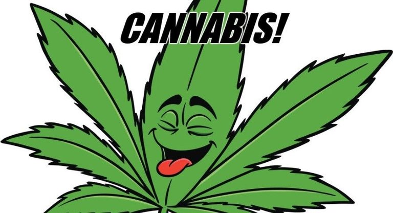 cannabis image for post.jpg