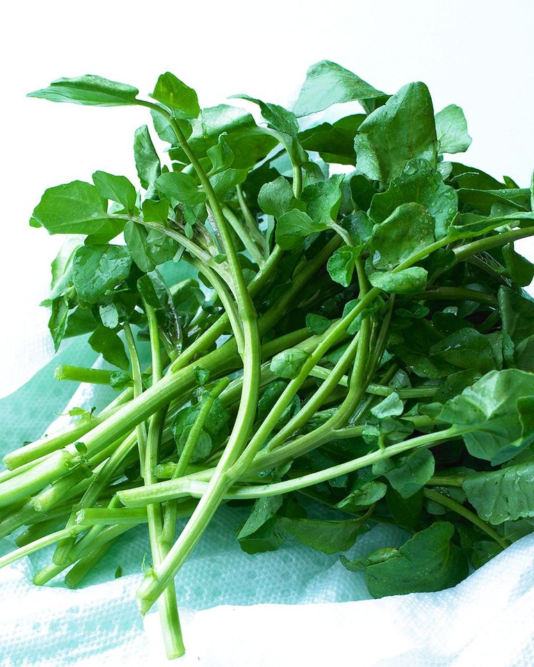 56001133-watercress-wallpapers.jpg