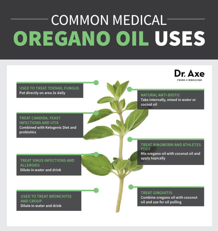 Oregano-Uses[1].jpg