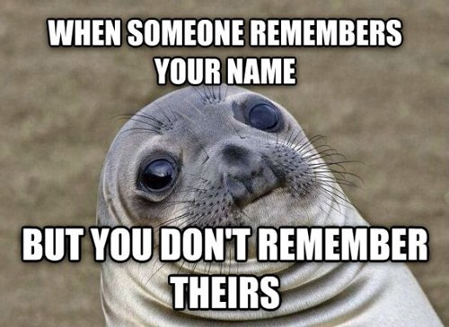 awkward-moment-seal-A1A.jpg