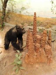 chimp_with_termite_mound.jpg