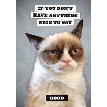 grumpy-cat-journal_9781452133225_large.jpg