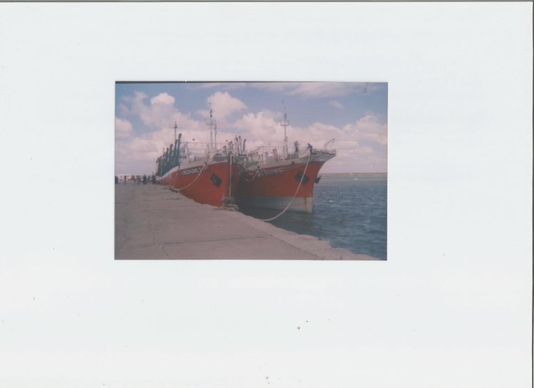 Scan1 - copia.jpg