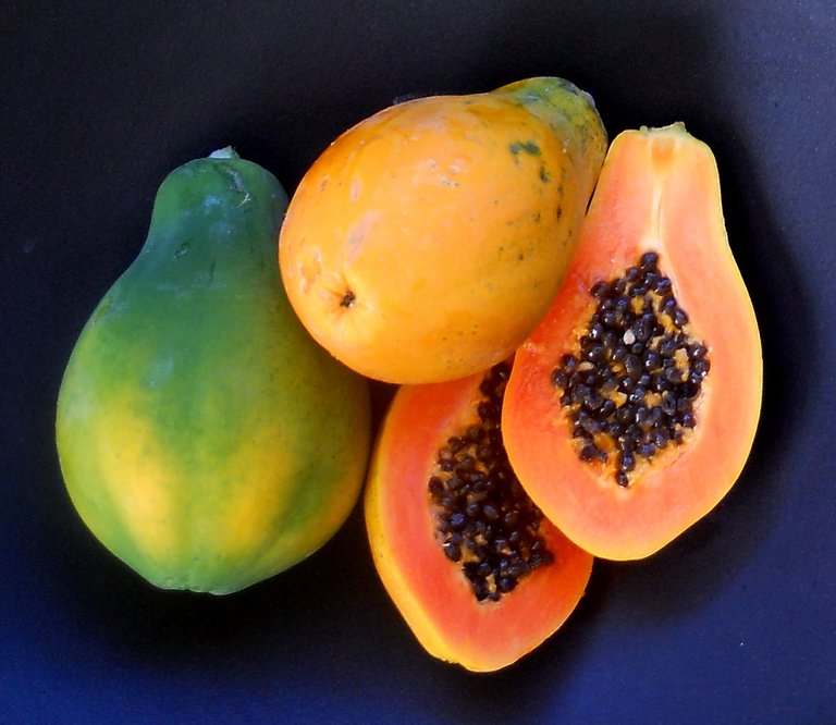 Sunrise Papaya.jpg