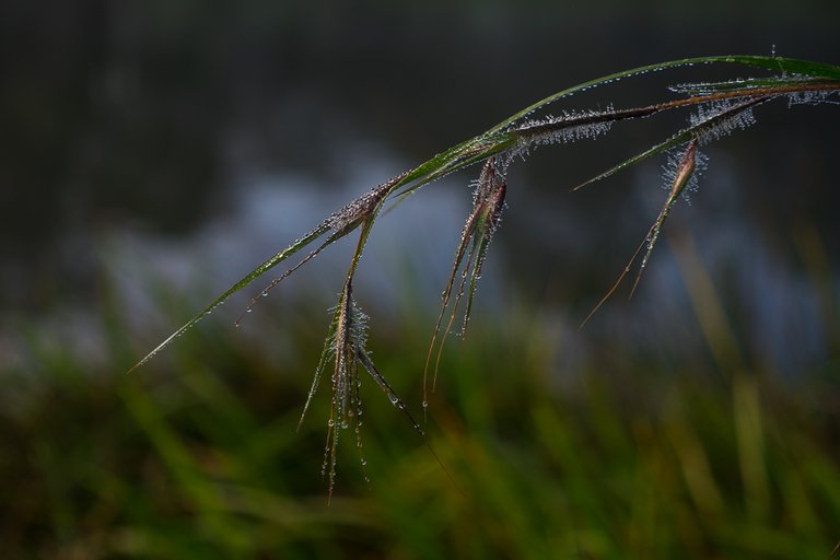 lake.1-6-8.jpg