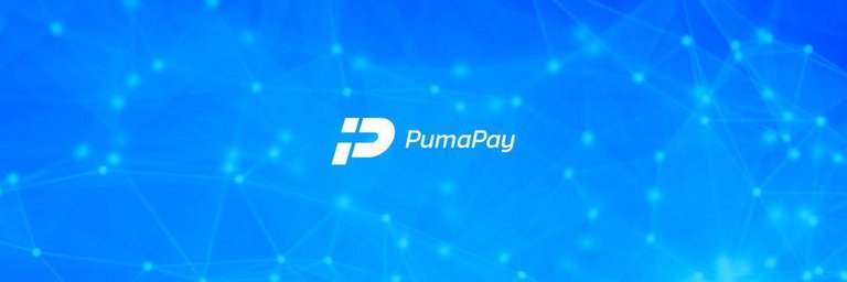 puma-pay-ico.jpeg