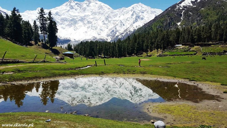 Fairy-meadows-Nanga-Parbat-.jpg