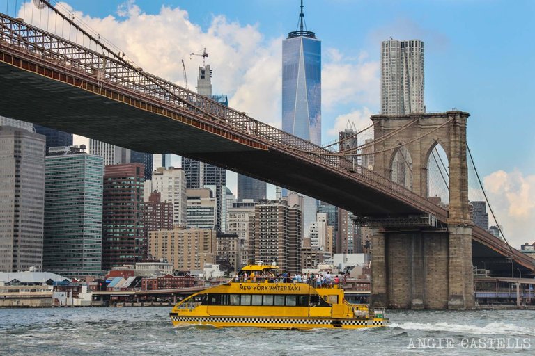 Excursiones-Nueva-York-Tour-Water-Taxi-rios-Brooklyn-Bridge.jpg