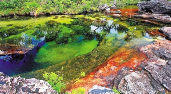 Colombia-Caño-cristales-conocido-como-el-arco-iris-que-se-derritió.jpg