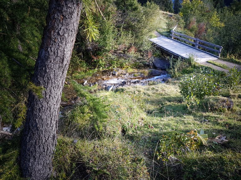 08 - Passerelle sur cours d'eau.jpg