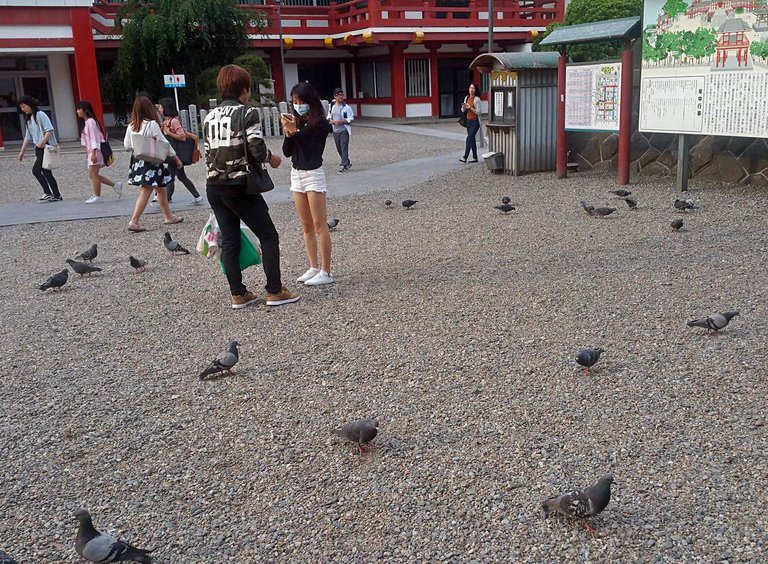 Doves E.jpg