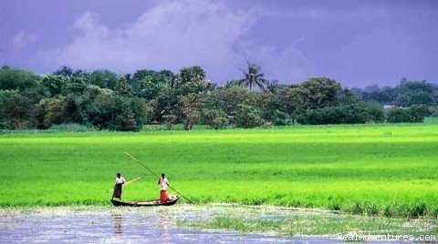 bangladesh_nature06.jpg