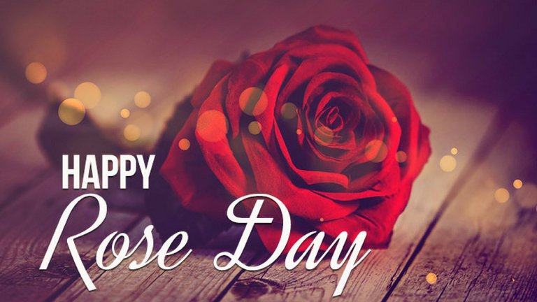 happy rose day.jpg