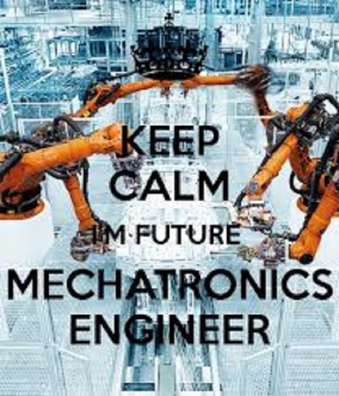 mechatronic32.jpg